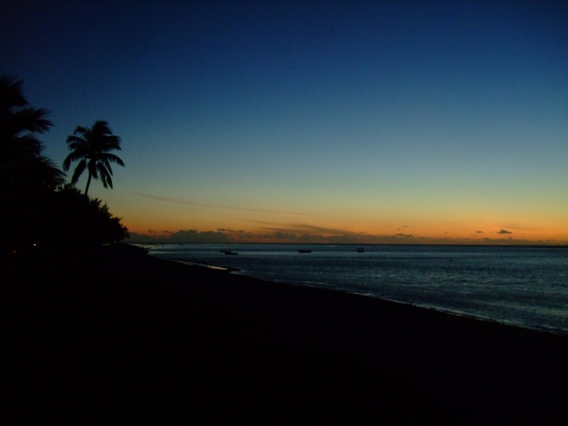 Mauritius 2010 - 0083 